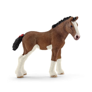 Clydesdale Foal - JSQ Mercantile