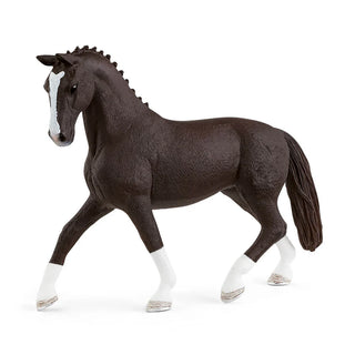 Hannoverian mare, black - JSQ Mercantile