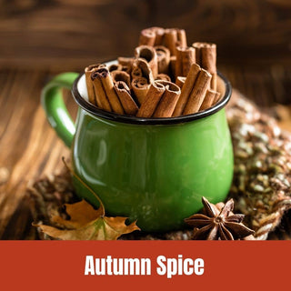 Autumn Spice Specialty FALL Flavored Coffee, 1.5oz Full Pot Bag